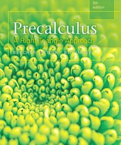 Precalculus: A Right Triangle Approach 5th Edition - Original PDF