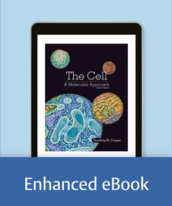 The Cell: A Molecular Approach 8th Edition - Original PDF