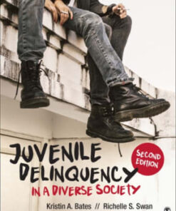 Juvenile Delinquency in a Diverse Society 2nd edition - Original PDF