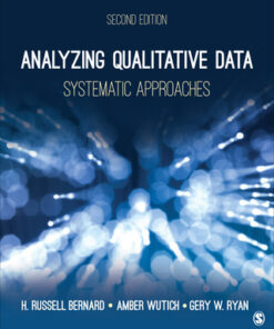 Analyzing Qualitative Data: Systematic Approaches 2nd Edition - Original PDF