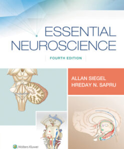 Essential Neuroscience 4e 4th Edition - Original PDF