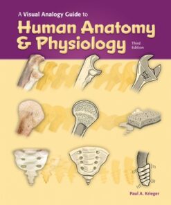 A Visual Analogy Guide to Human Anatomy & Physiology 3rd Edition - Original PDF
