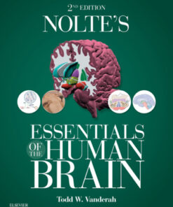Nolte's Essentials of the Human Brain, With STUDENT CONSULT 2nd Edition - Original PDF