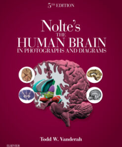 Nolte's The Human Brain in Photographs and Diagrams 5th Edition - Original PDF