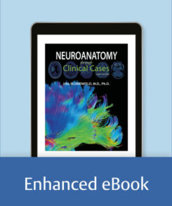 Neuroanatomy through Clinical Cases 3rd Edition - Original PDF