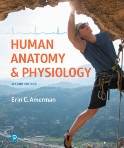 Human Anatomy & Physiology 2nd Edition - Original PDF