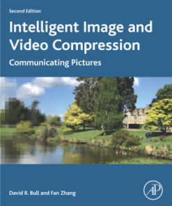 Intelligent Image and Video Compression: Communicating Pictures 2nd Edition - Original PDF