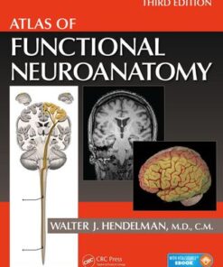 Atlas of Functional Neuroanatomy 3rd Edition - Original PDF