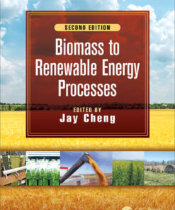 Biomass to Renewable Energy Processes 2nd Edition - Original PDF