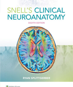 Snell's Clinical Neuroanatomy 8th Edition - Original PDF