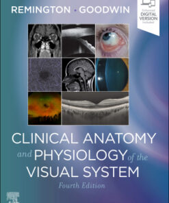Clinical Anatomy and Physiology of the Visual System 4th Edition - Original PDF