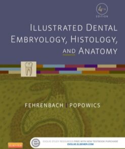 Illustrated Dental Embryology, Histology, and Anatomy 4th Edition - Original PDF