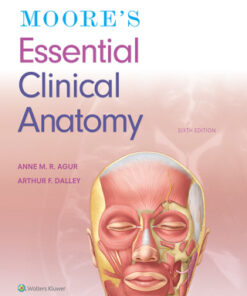 Moore's Essential Clinical Anatomy 6th Edition - Original PDF