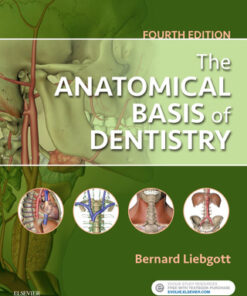 The Anatomical Basis of Dentistry 4th Edition by Bernard Liebgott - Original PDF