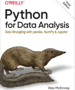 Python for Data Analysis 3rd Edition - Original PDF