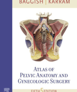 Atlas of Pelvic Anatomy and Gynecologic Surgery 5th Edition - Original PDF