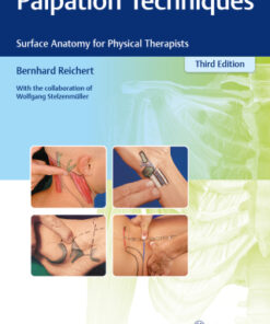 Palpation Techniques: Surface Anatomy for Physical Therapists 3rd Edition - Original PDF