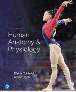 Human Anatomy & Physiology 11th Edition - Original PDF