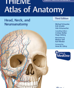 Head, Neck, and Neuroanatomy (THIEME Atlas of Anatomy), Latin Nomenclature 3rd Edition - Original PDF