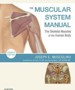The Muscular System Manual: The Skeletal Muscles of the Human Body 4th Edition - Original PDF