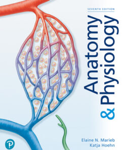 Anatomy & Physiology 7th Edition - Original PDF